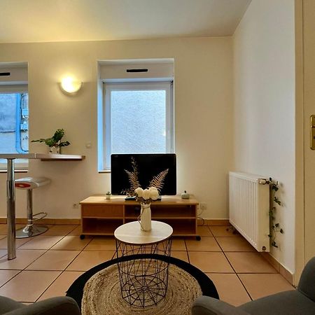 Le Studio Theolier Downtown - Close To Pedestrian Street Tournon-sur-Rhone Exteriér fotografie