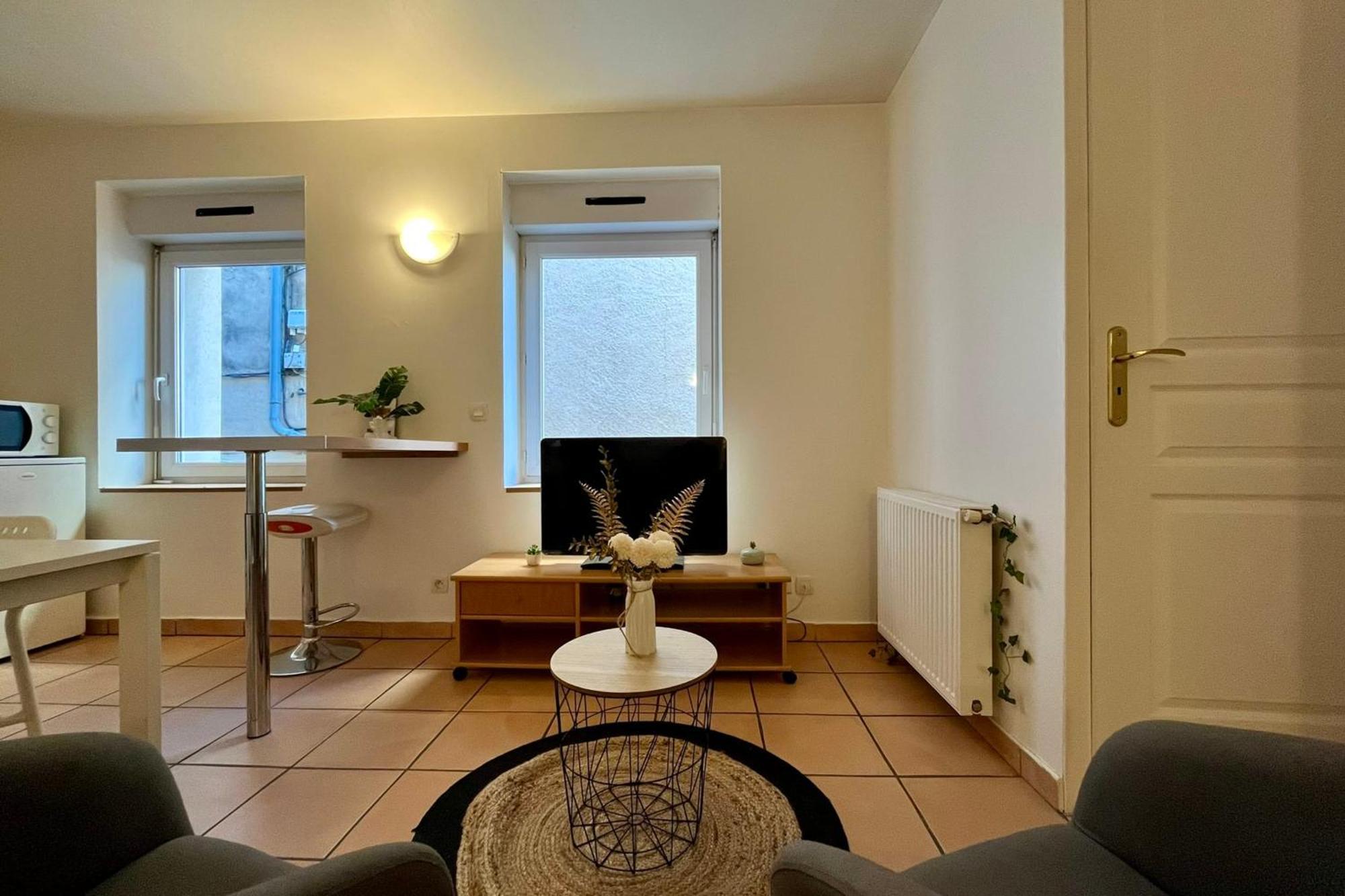 Le Studio Theolier Downtown - Close To Pedestrian Street Tournon-sur-Rhone Exteriér fotografie